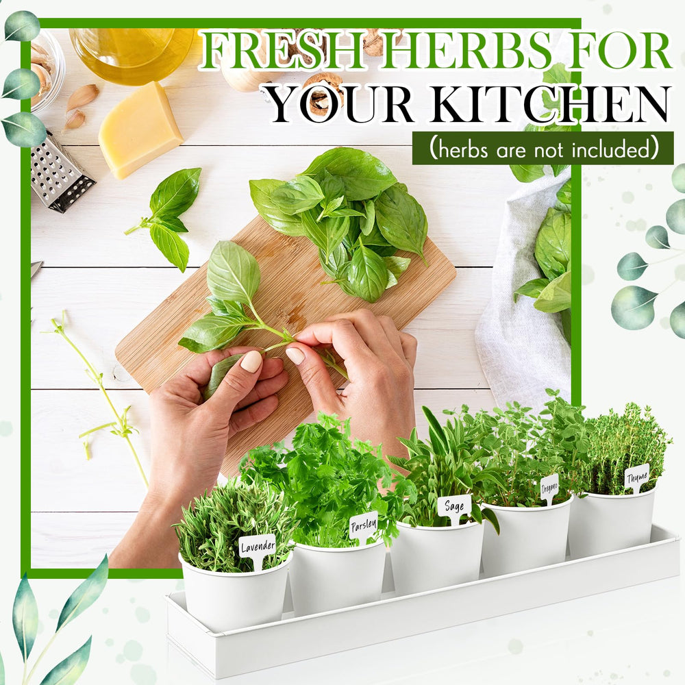 FoldTier styled on a kitchen windowsill demonstrating accessibility and fresh herbs benefit