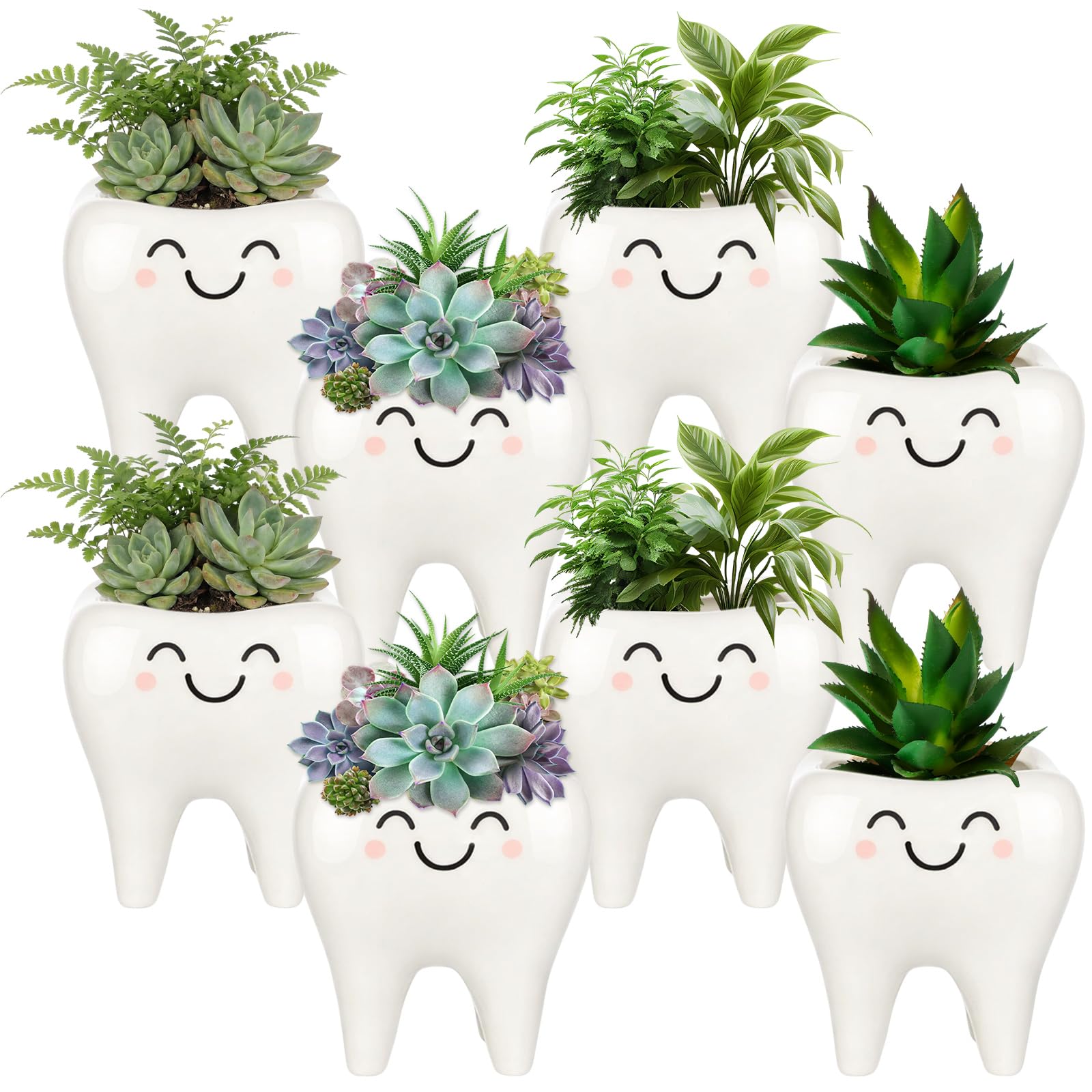 FoldTier tooth planter front view showing cute dental decor and approachable style