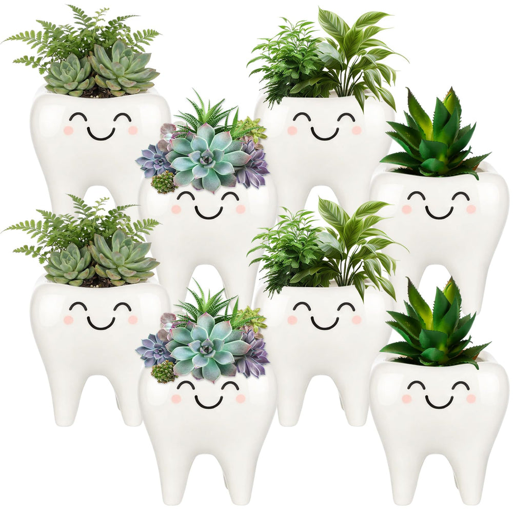 FoldTier tooth planter front view showing cute dental decor and approachable style