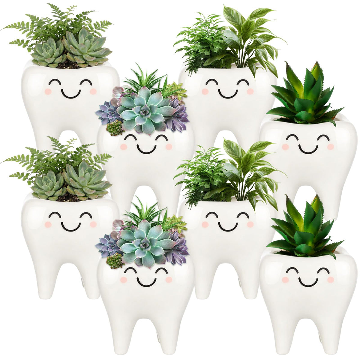 FoldTier tooth planter front view showing cute dental decor and approachable style