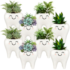 FoldTier tooth planter front view showing cute dental decor and approachable style