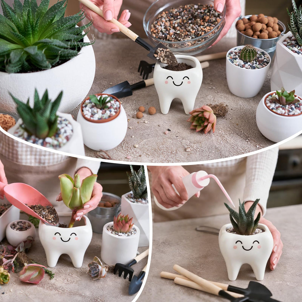 FoldTier tooth planter beside ruler showing compact size and space-saving benefit