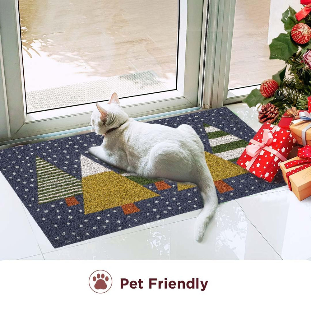 Folkulture mat on covered porch in use protecting indoor floors from dirt