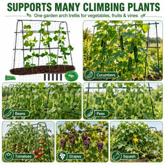 FOLLOOK trellis installed in raised bed showing space-saving vertical support benefit