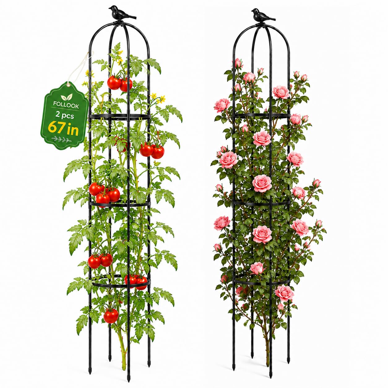 FOLLOOK trellis front view showing tall obelisk and neat support benefit