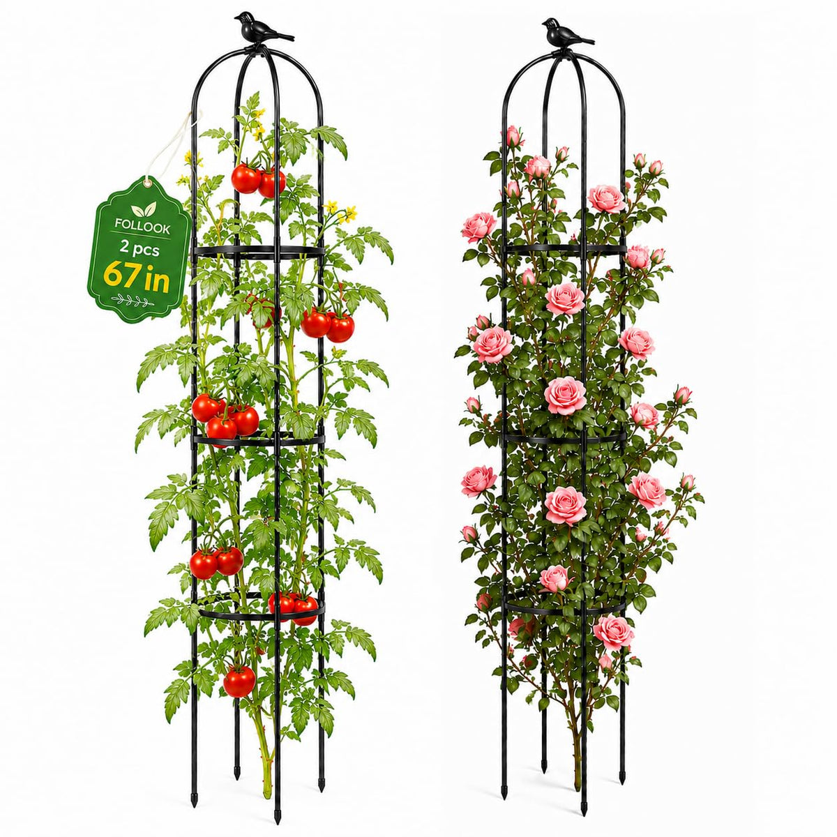 FOLLOOK trellis front view showing tall obelisk and neat support benefit