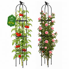 FOLLOOK trellis front view showing tall obelisk and neat support benefit