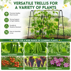 FOLLOOK trellis installed in a raised bed illustrating vertical space-saving harvests