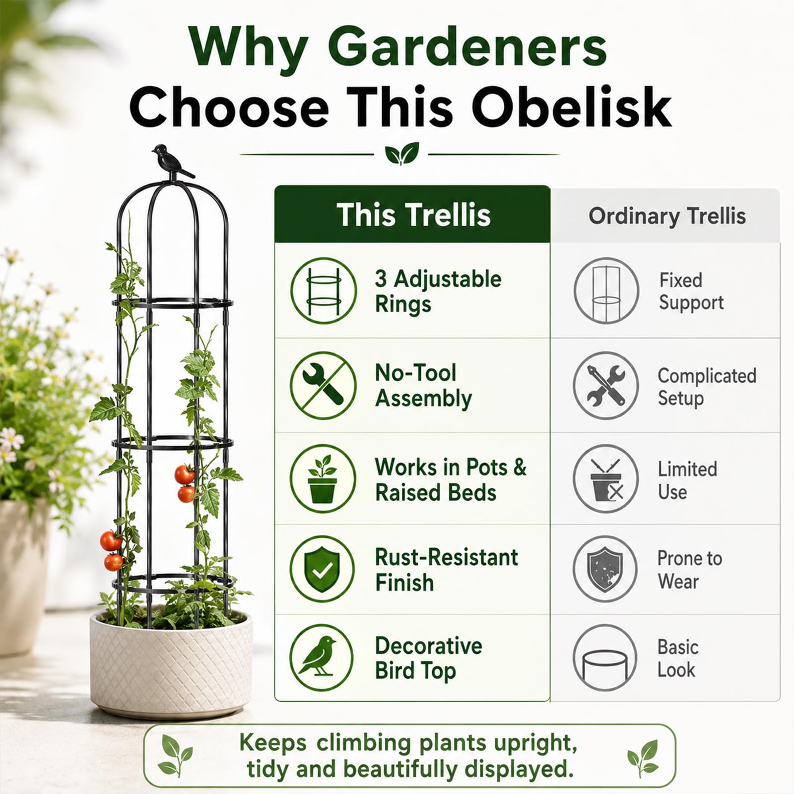 FOLLOOK two-pack packaged trellises ready for assembly for versatile use