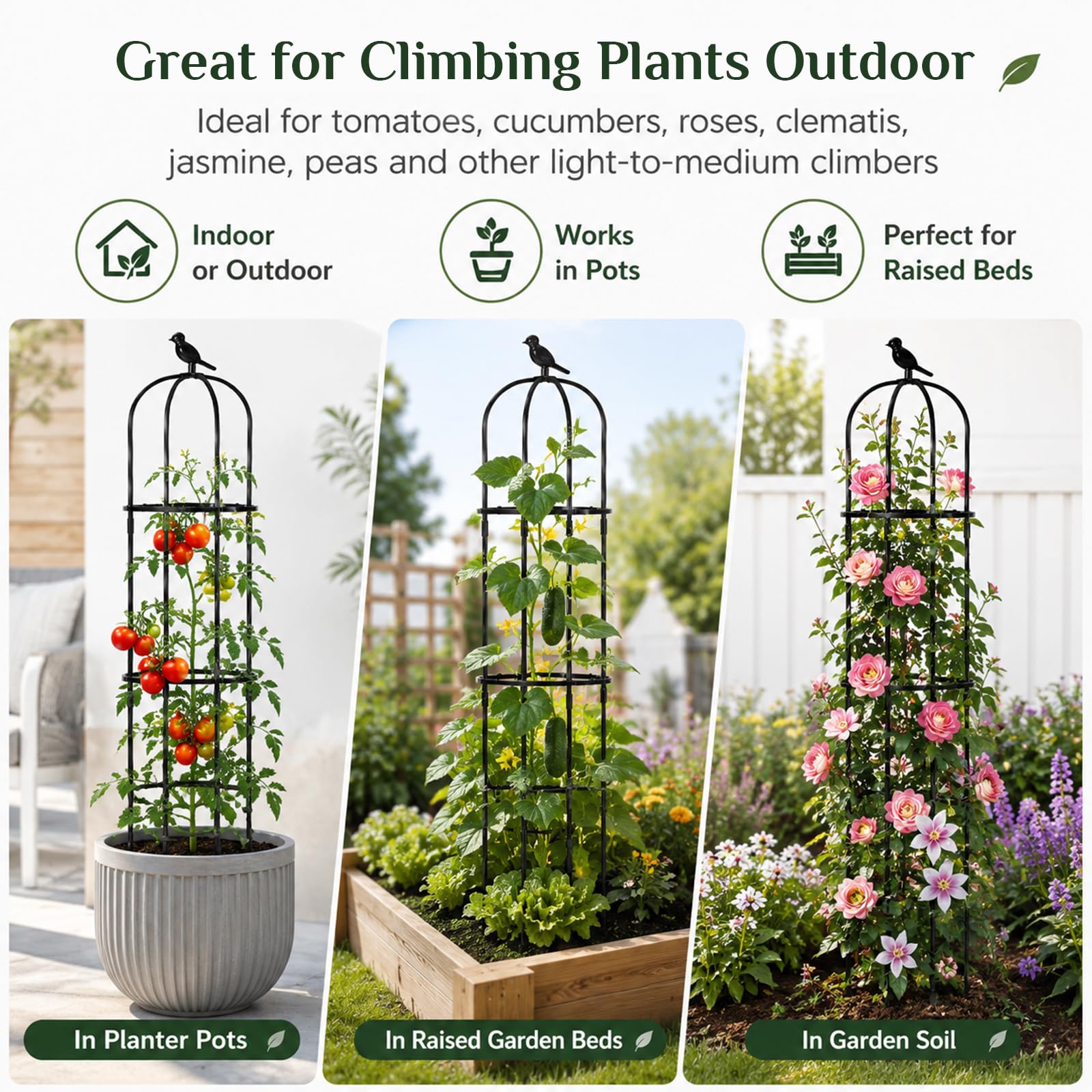 FOLLOOK trellis supporting climbing rose for tidy vertical growth benefit