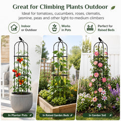 FOLLOOK trellis supporting climbing rose for tidy vertical growth benefit