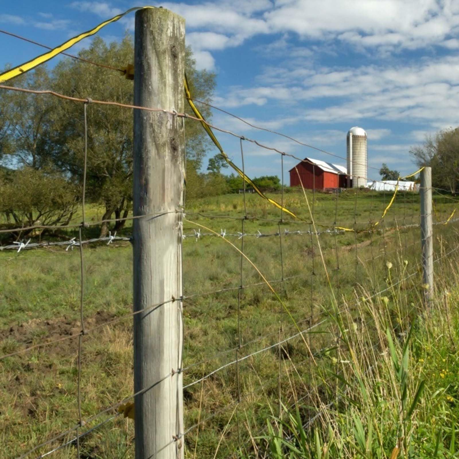 folosem PE2 in a backyard fence context protecting poultry and small livestock