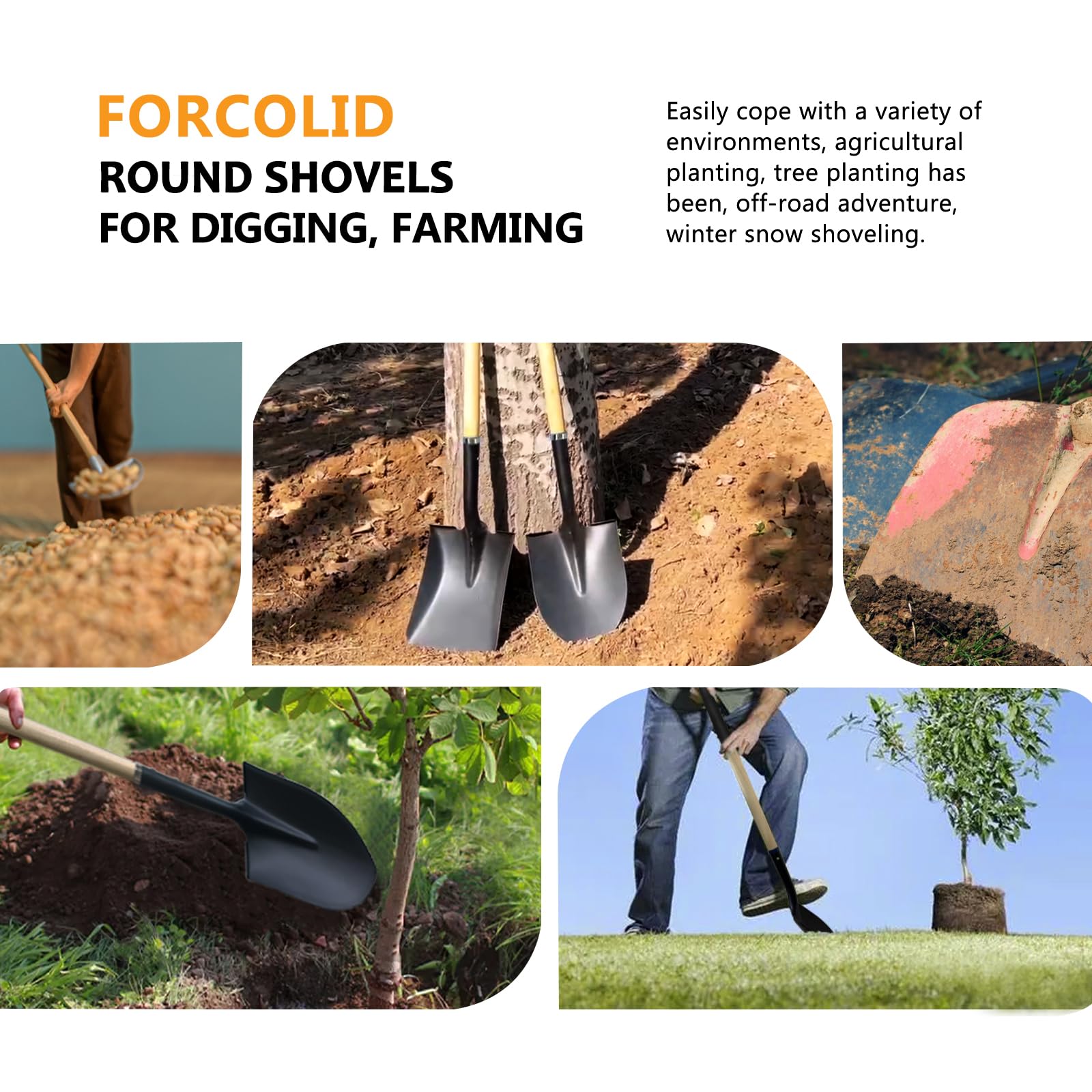 FORCOLID wood shaft close-up showing finished grain that resists moisture and bending