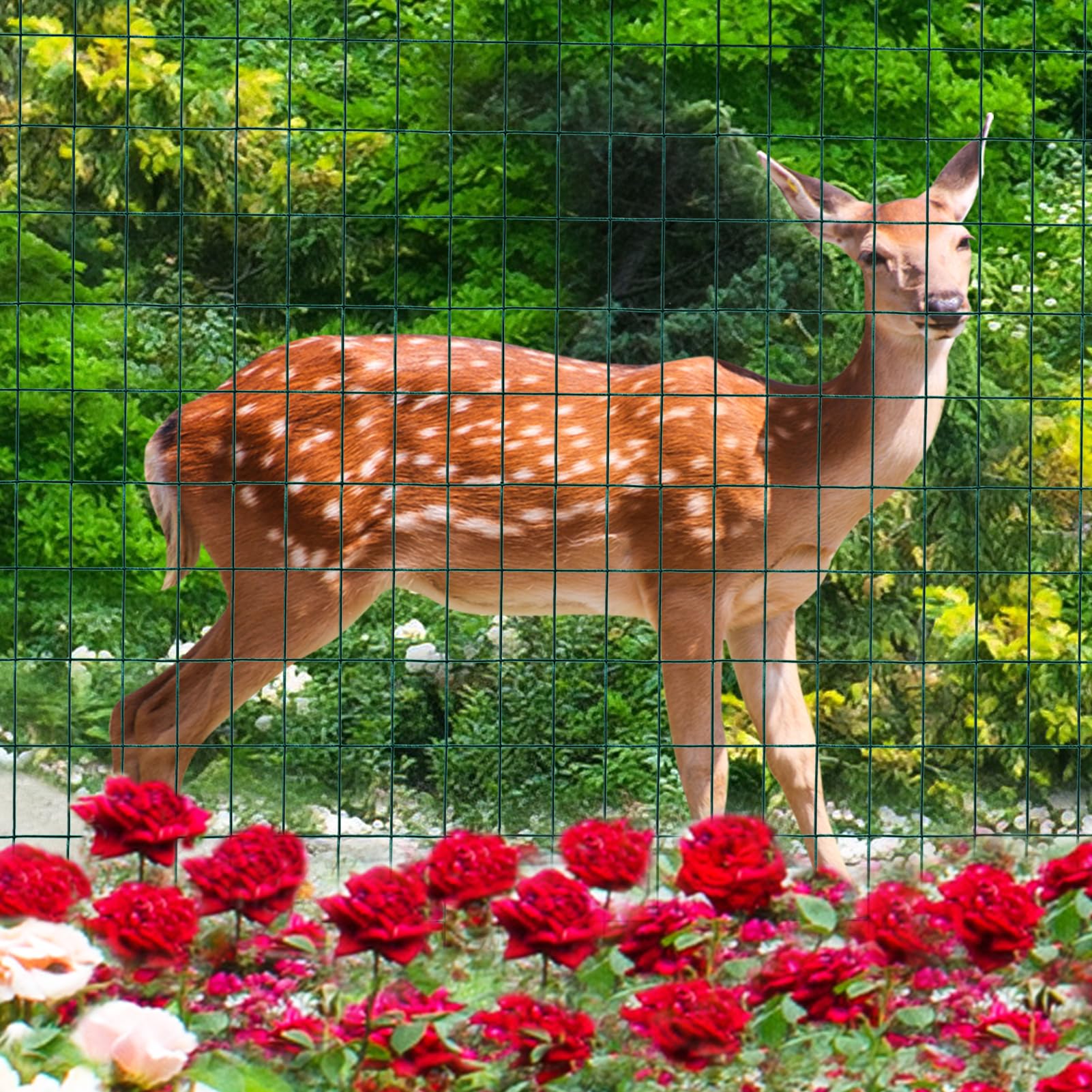 FOREHOGAR DIY pet enclosure in backyard showing flexible use and containment