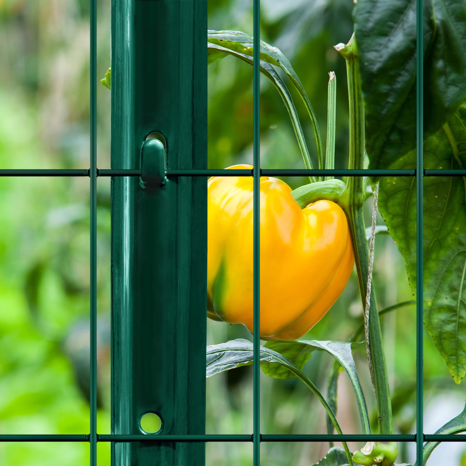 FOREHOGAR installed garden fence in yard showing tidy plant protection