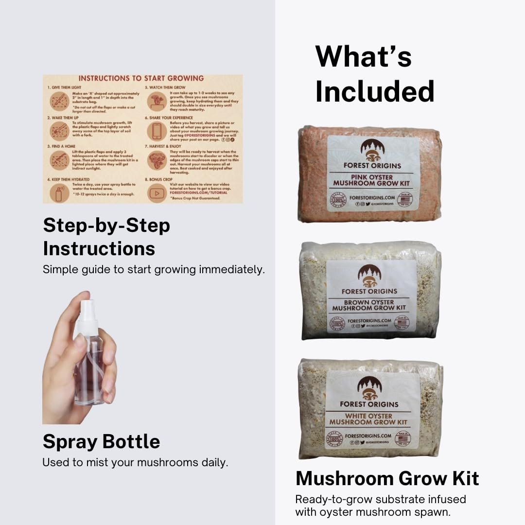 Forest Origins kit cutting and misting setup demonstrating easy daily care