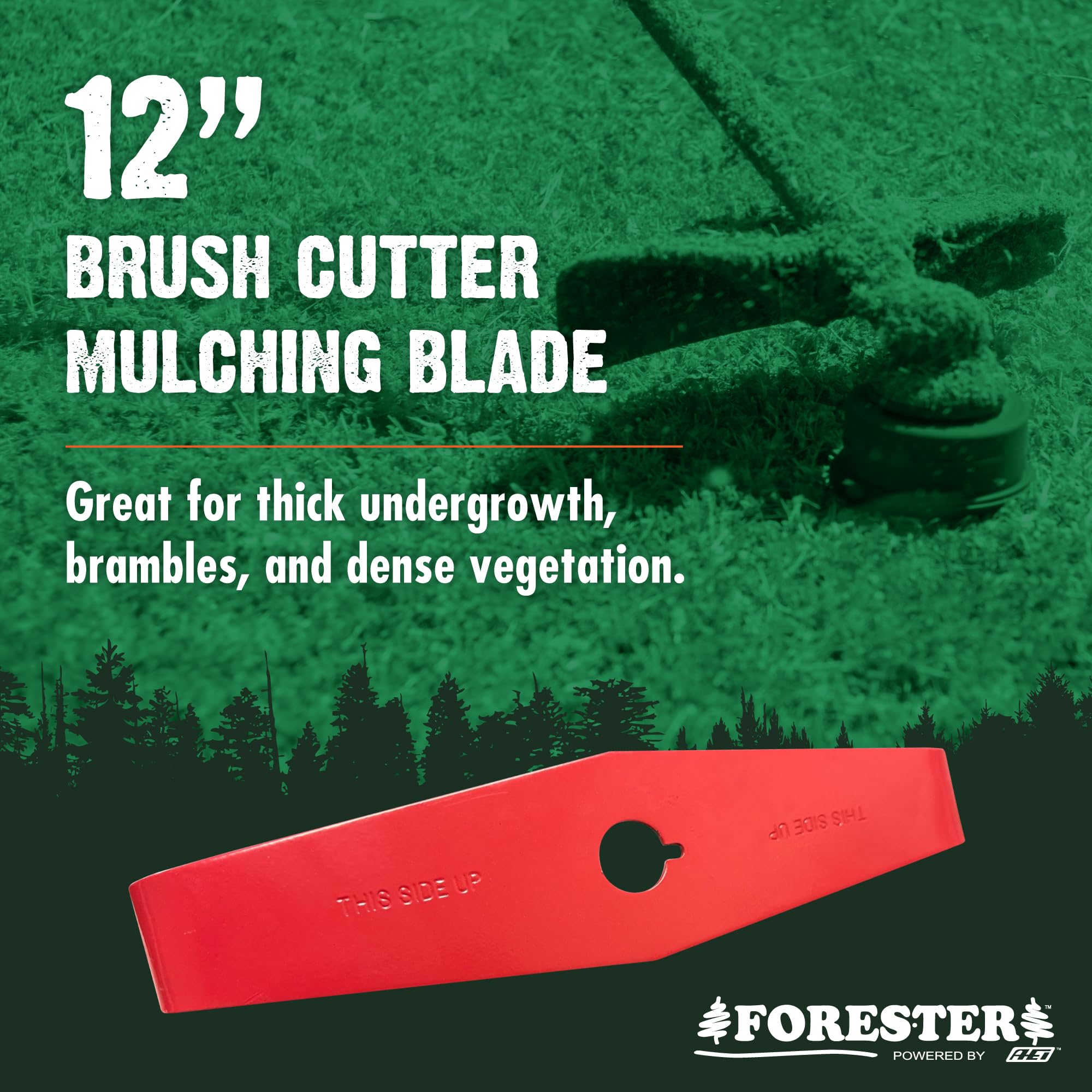 FORESTER close-up of tapered blade edge displaying durable sharpness benefit