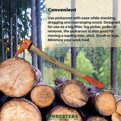 FORESTER hickory handle close-up highlighting grain and shock-absorbing comfort benefit