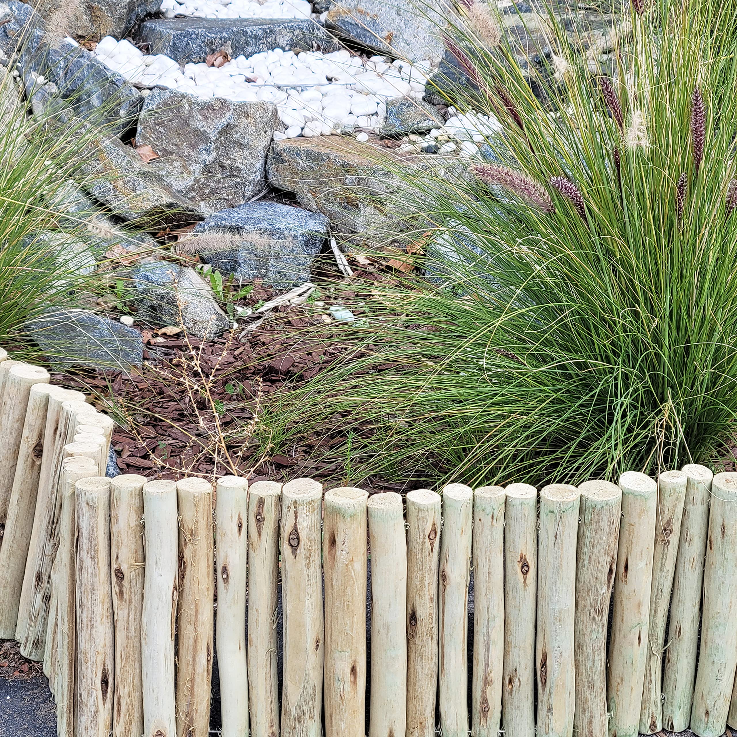 FOREVER BAMBOO tree ring border around trunk demonstrating tidy separation