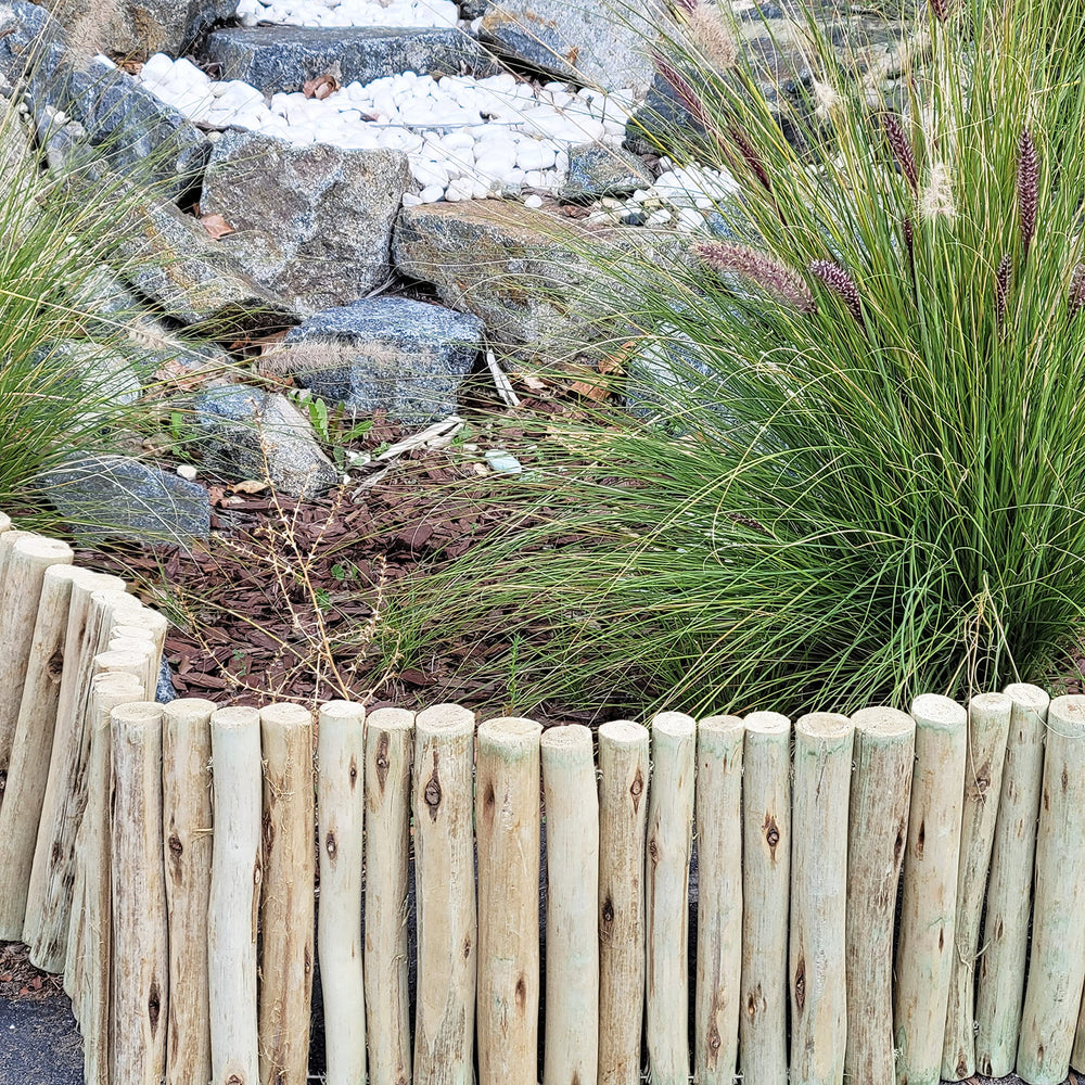FOREVER BAMBOO tree ring border around trunk demonstrating tidy separation