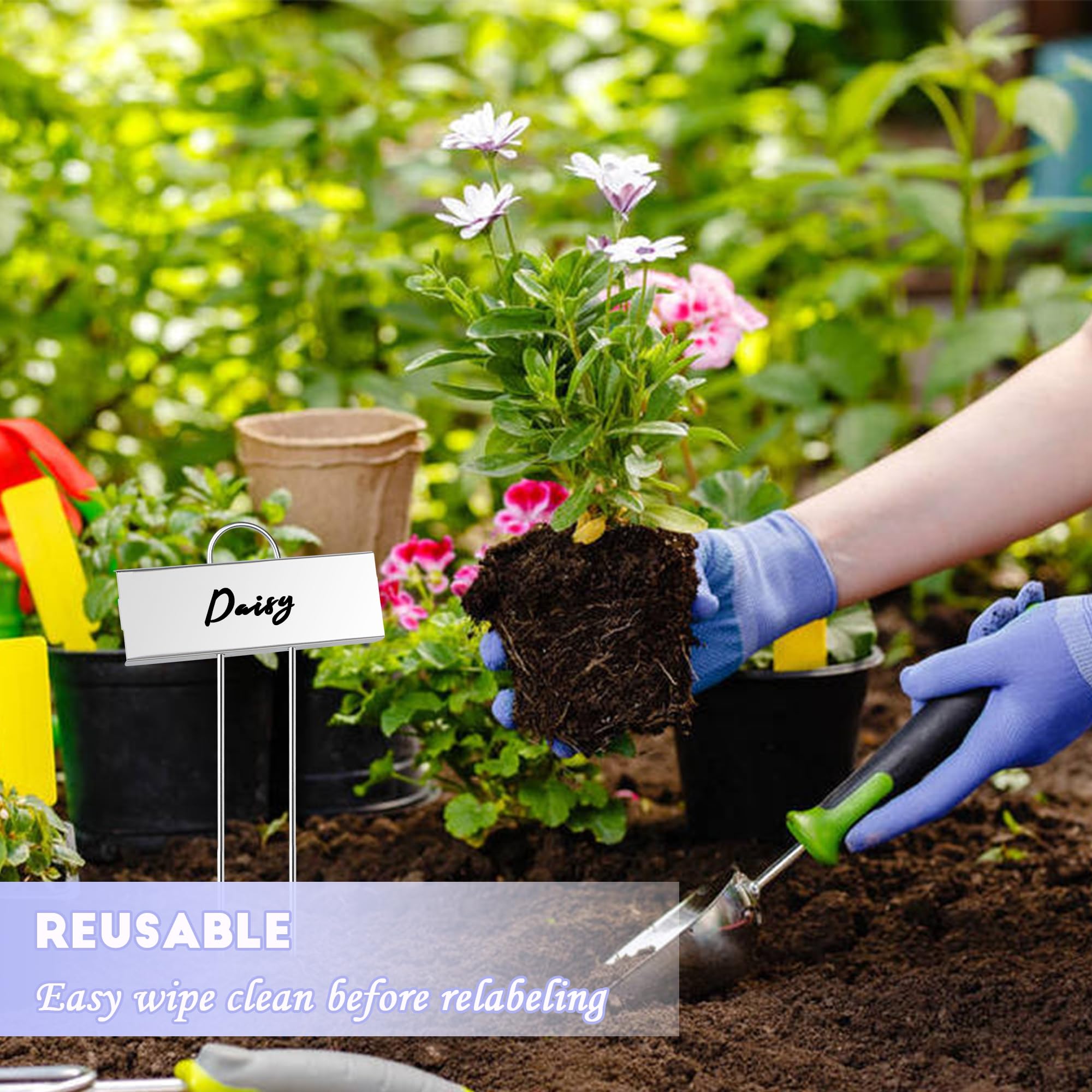 FORUP angled labels in raised bed showing readability from standing height