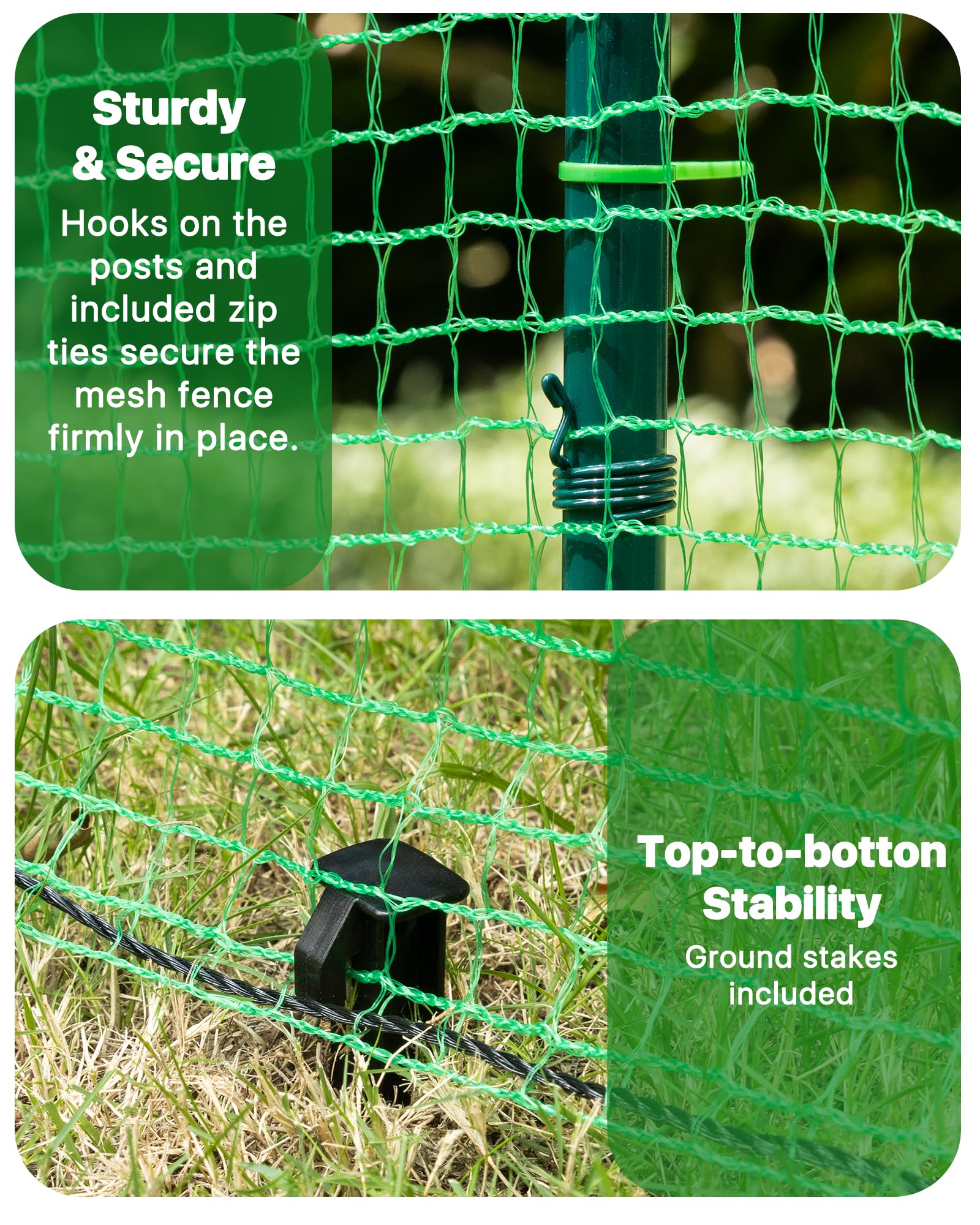 Forvenora installed in backyard with small dog demonstrating portable boundary benefit