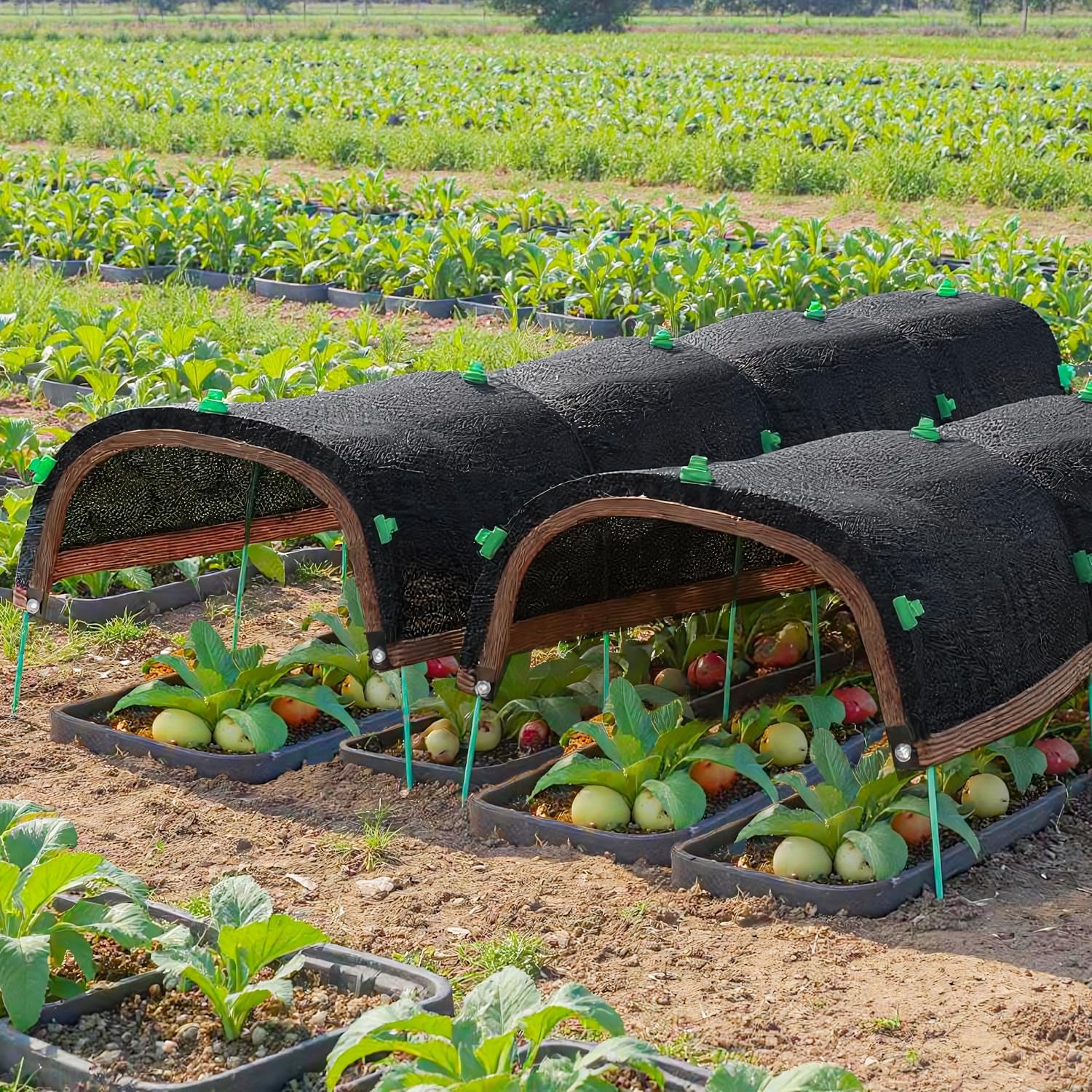 FOTSHARER assembled hoop frame over a raised bed demonstrating easy installation benefit