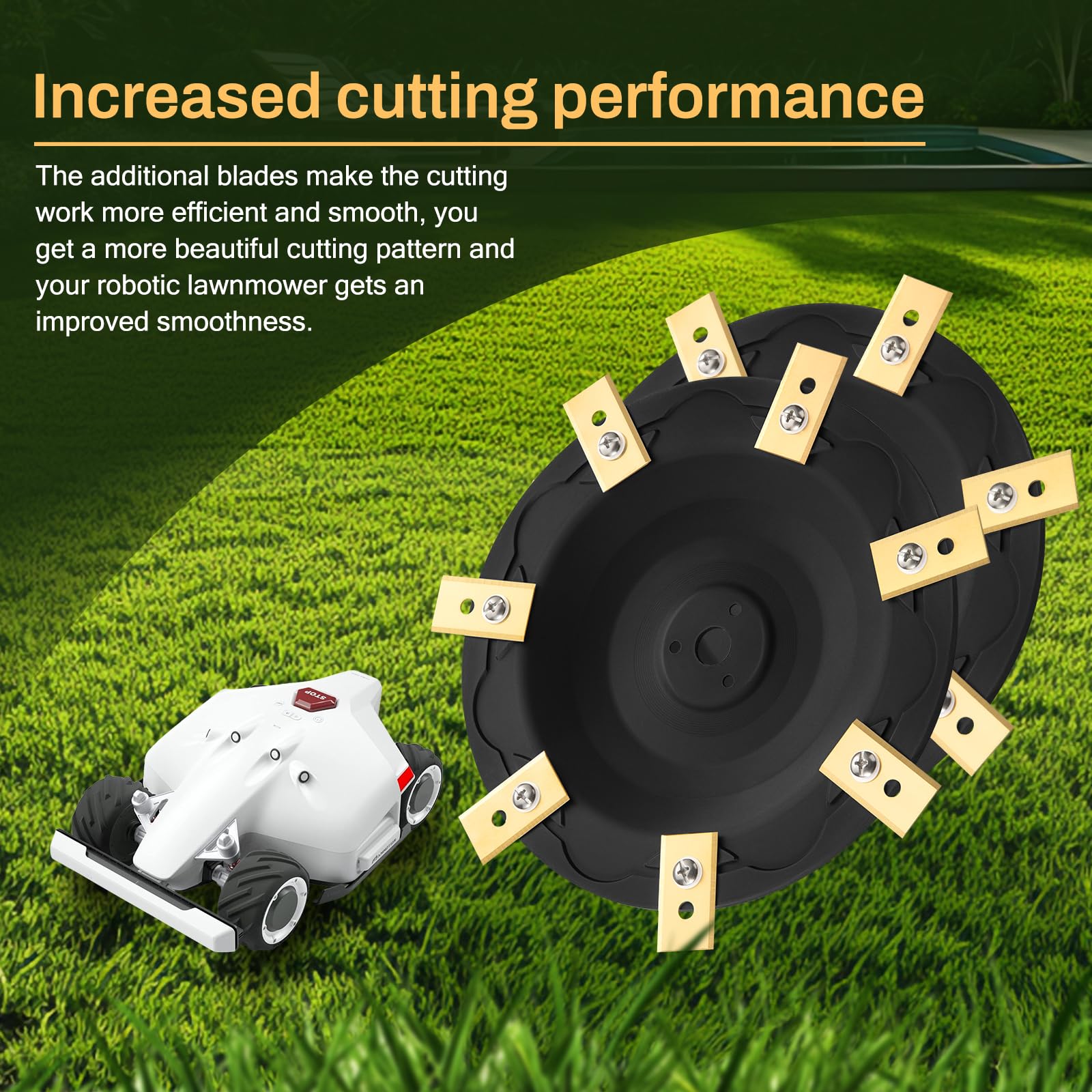 FourShow disc beside ruler showing size and compatibility confirmation