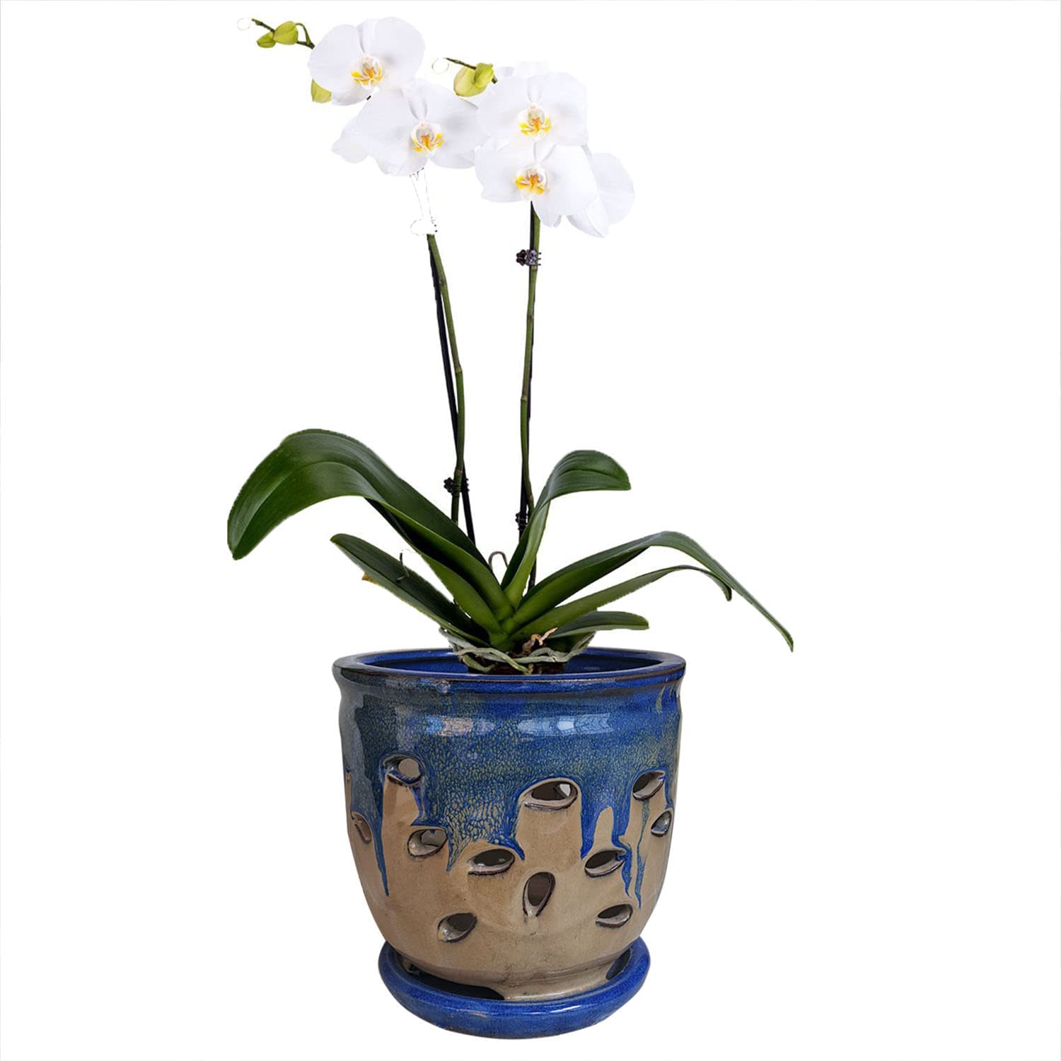 Fowargif front view of blue and light brown ceramic pot showing shape and color benefit decor