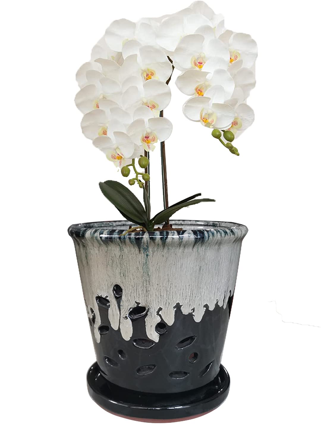 Fowargif pot beside ruler, precise sizing and fit benefit