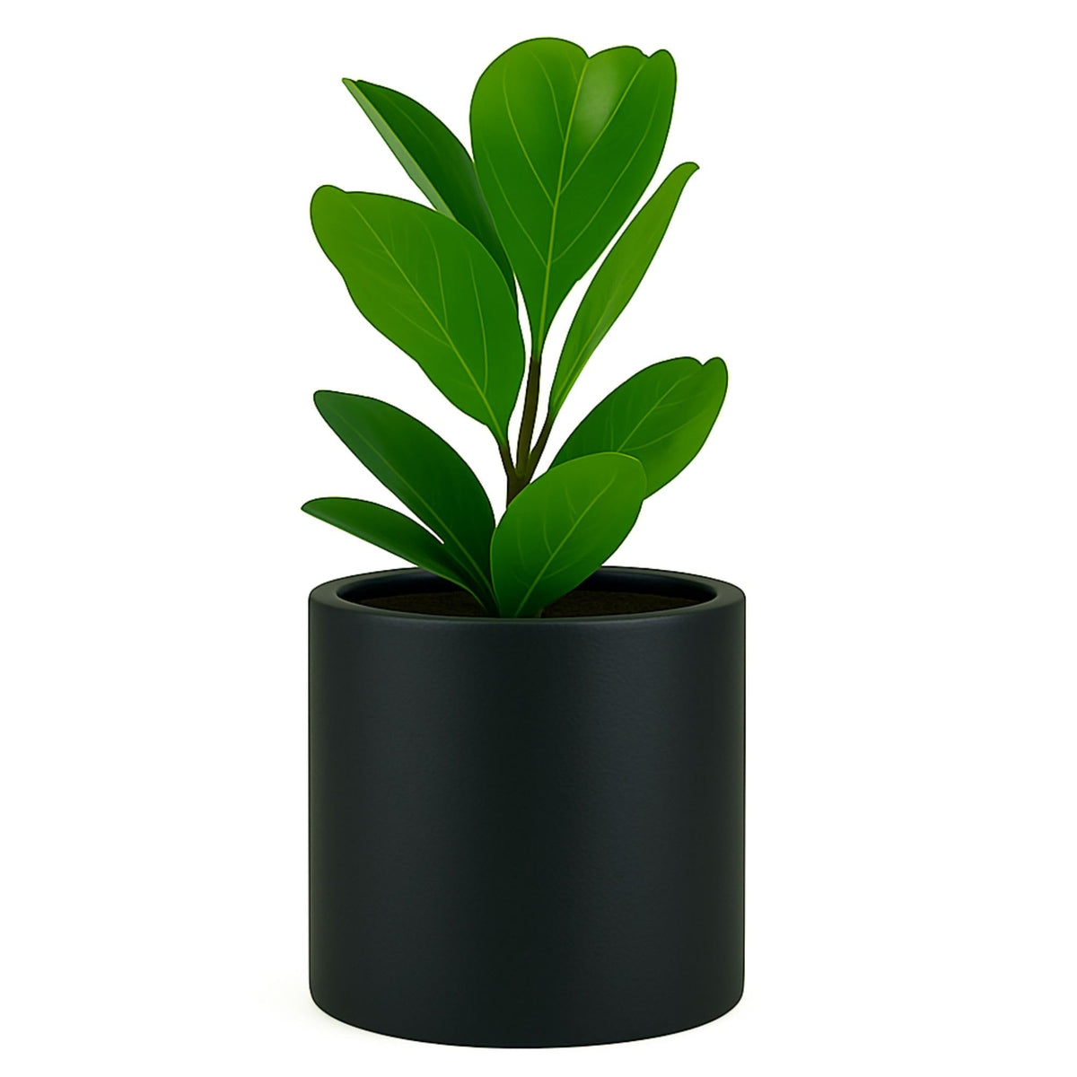 Fox & Fern matte black planter front view showing sleek modern finish and curb appeal