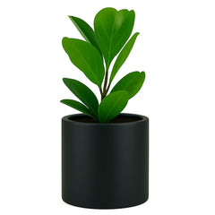 Fox & Fern matte black planter front view showing sleek modern finish and curb appeal