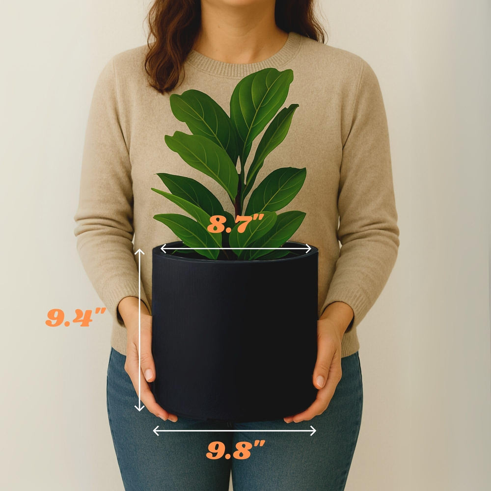 Fox & Fern planter on balcony illustrating weather resistance and outdoor suitability