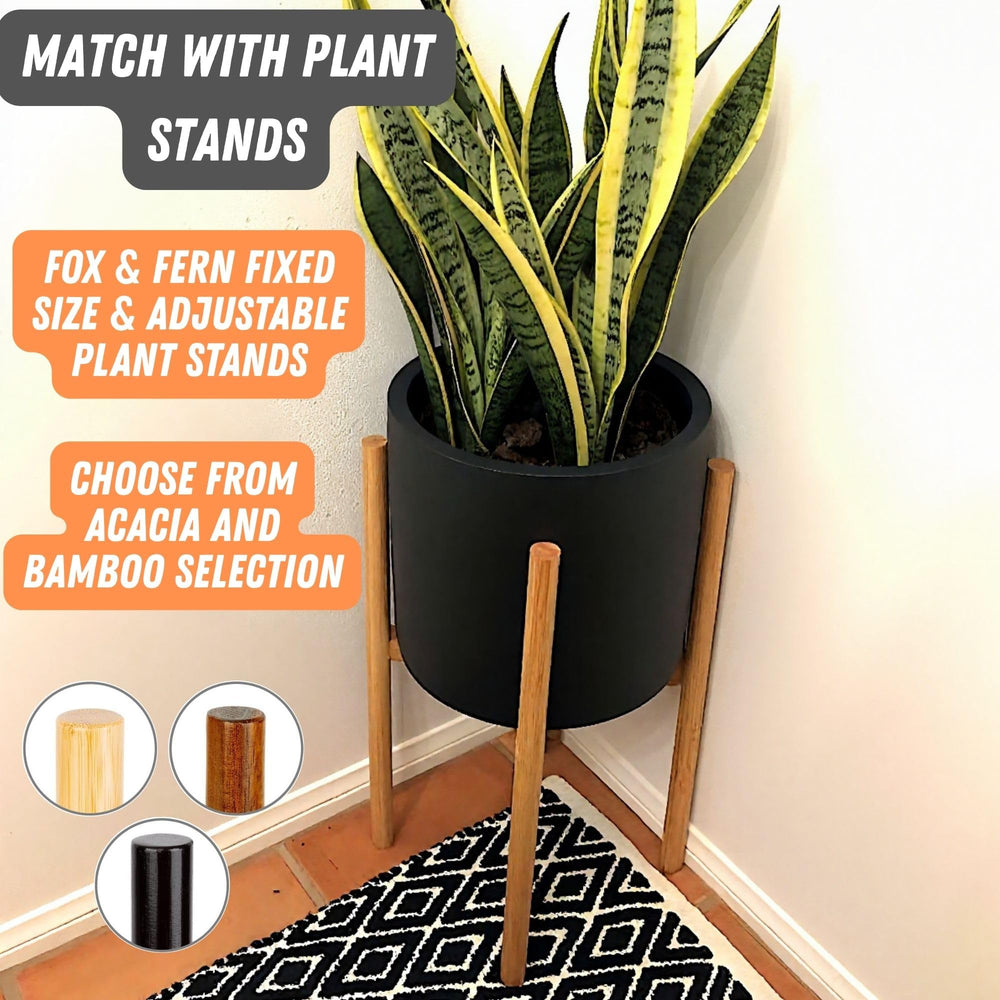 Fox & Fern planter side profile showing curves and stability for stylish display