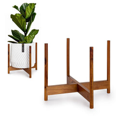 Fox & Fern front view of acacia plant stand showing mid-century profile and elevation benefit