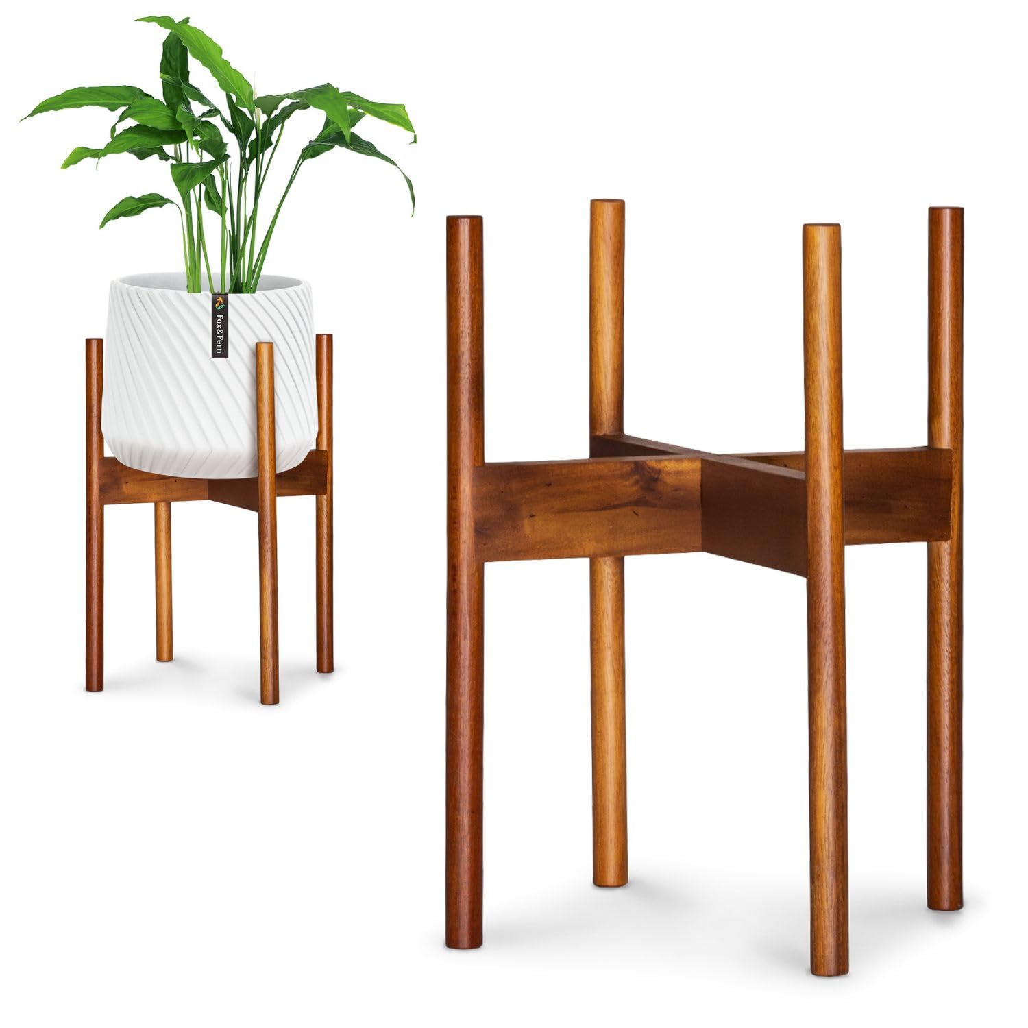 Fox & Fern front view plant stand showing stable modern support and style