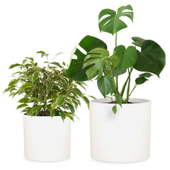 Fox & Fern matte white front view showing clean modern silhouette and balance