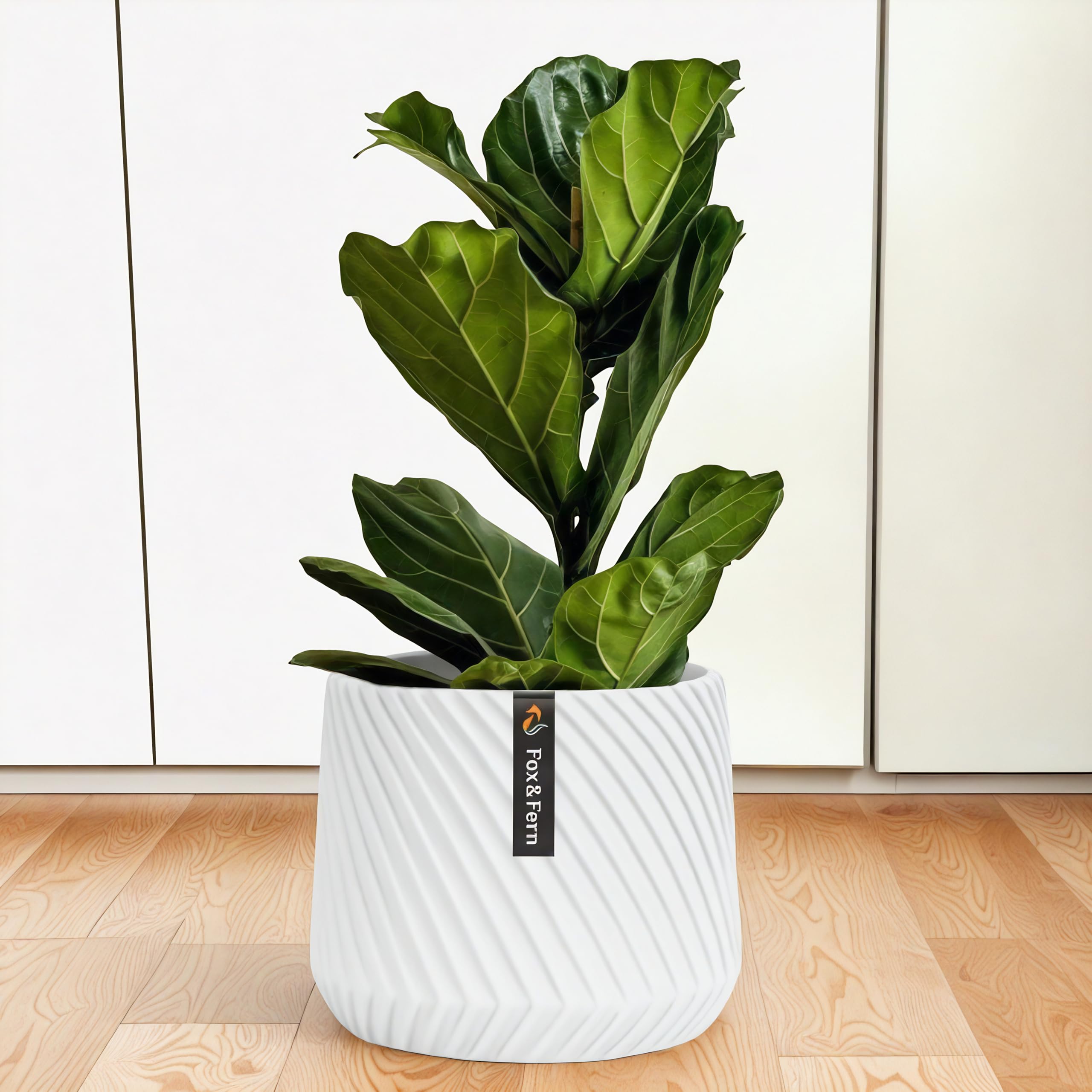 Fox & Fern matte white planter front view showing clean silhouette and stability
