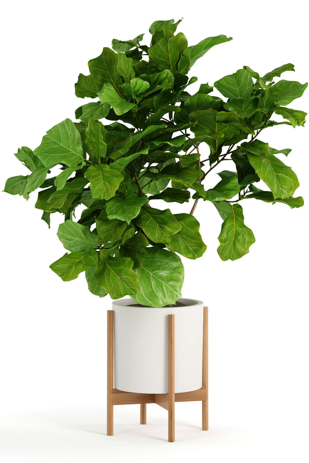 Fox & Fern paired planters showing compatibility with fiberstone and polystone