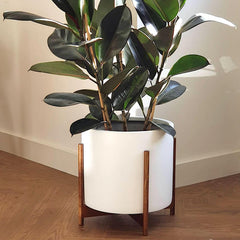 Fox & Fern stand holding a large matte planter showing compatibility with heavy pots benefit
