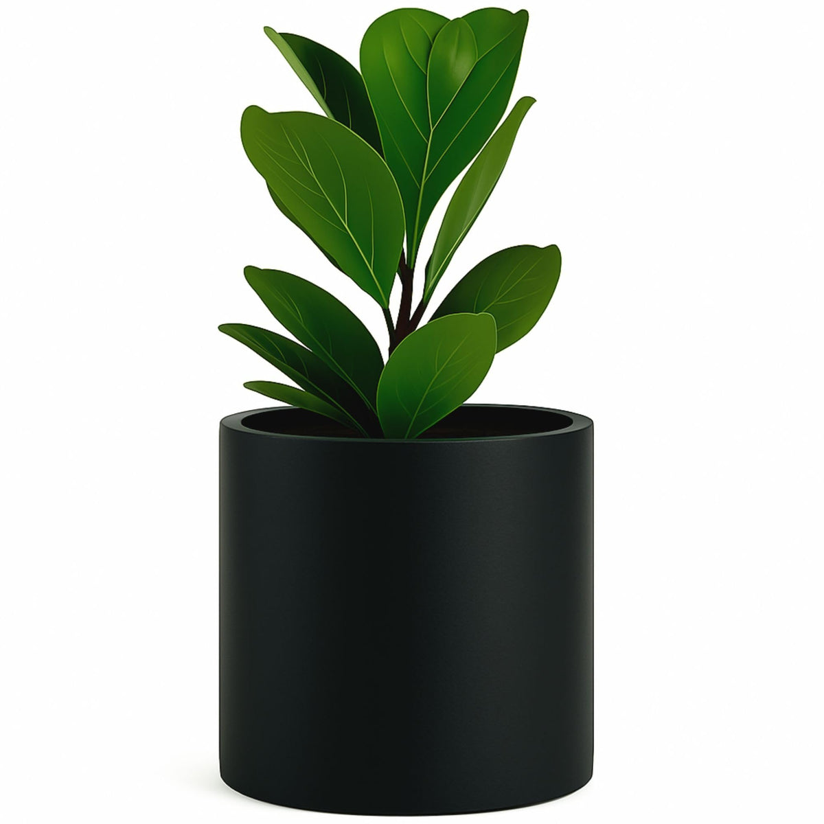 Fox & Fern planter front view showing matte black finish and modern shape, stylish display benefit