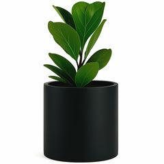 Fox & Fern planter front view showing matte black finish and modern shape, stylish display benefit
