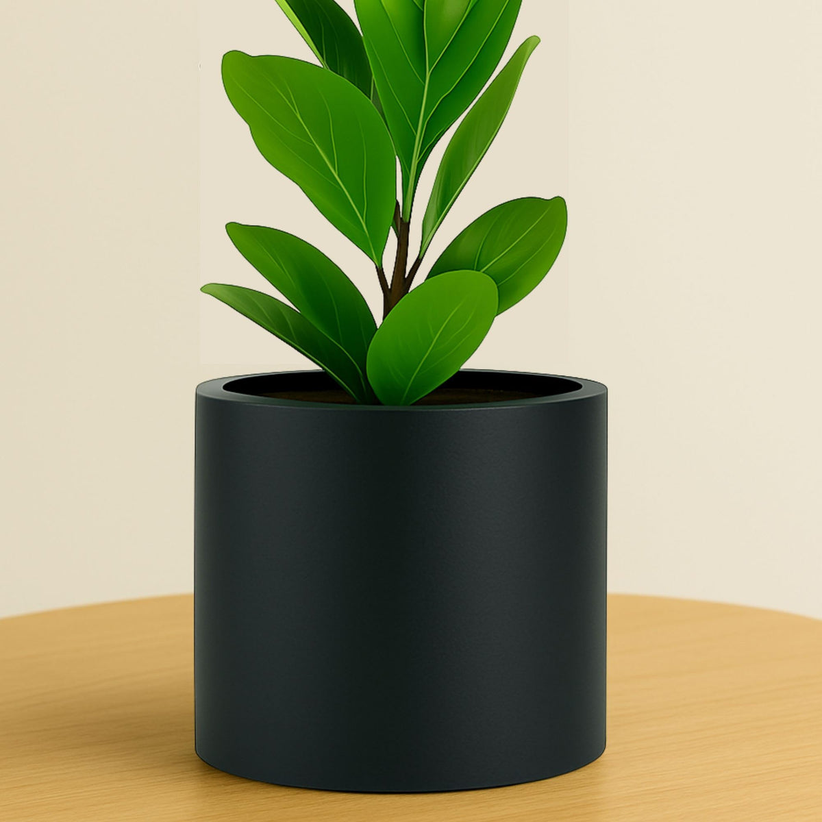Fox & Fern front view of matte black planter shows clean lines and modern style