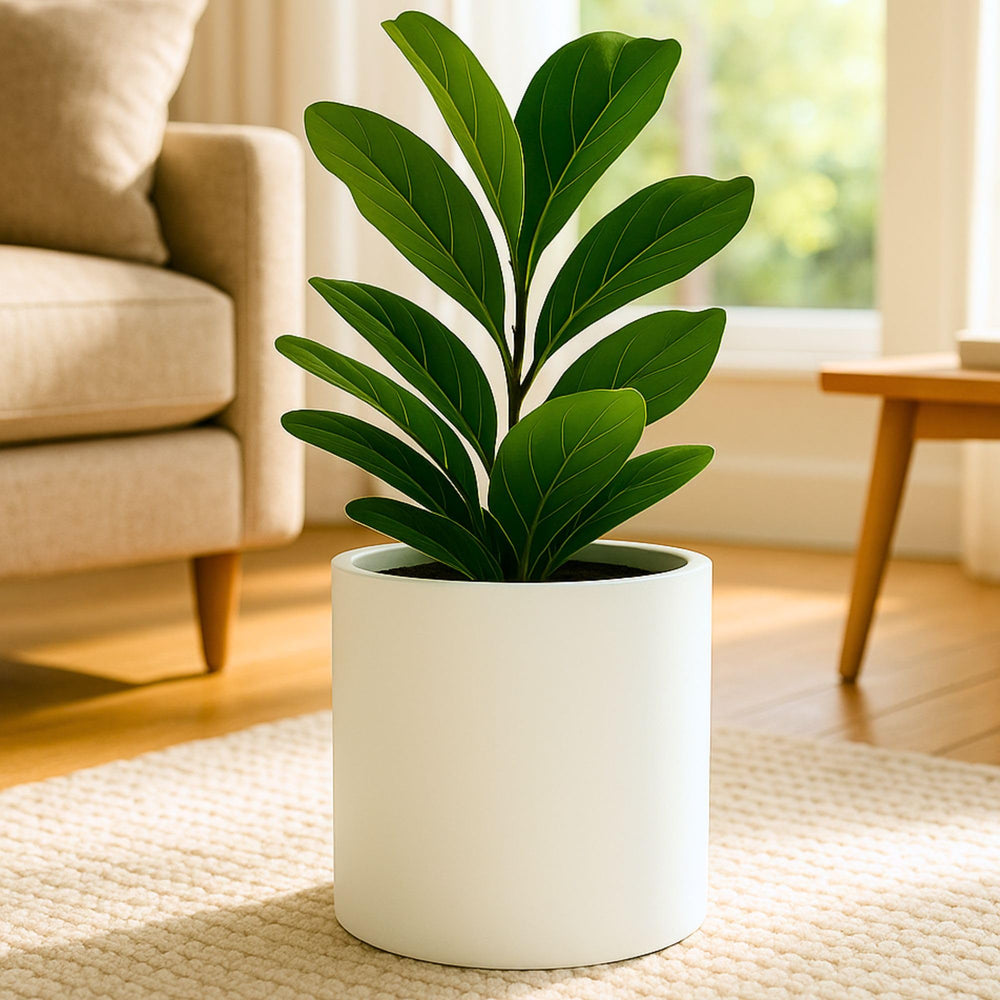 Fox & Fern planter front view shows matte white finish and modern silhouette for style