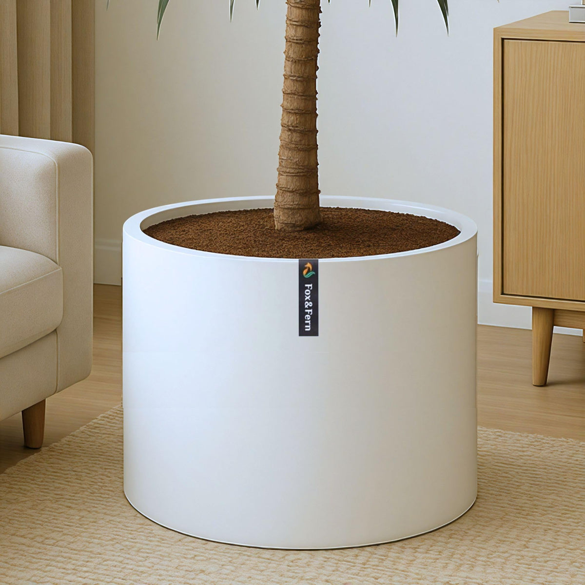 Fox & Fern matte white planter front view showing clean modern profile and visual appeal