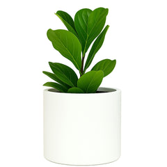 Fox & Fern matte white planter front view showing clean modern silhouette and stability