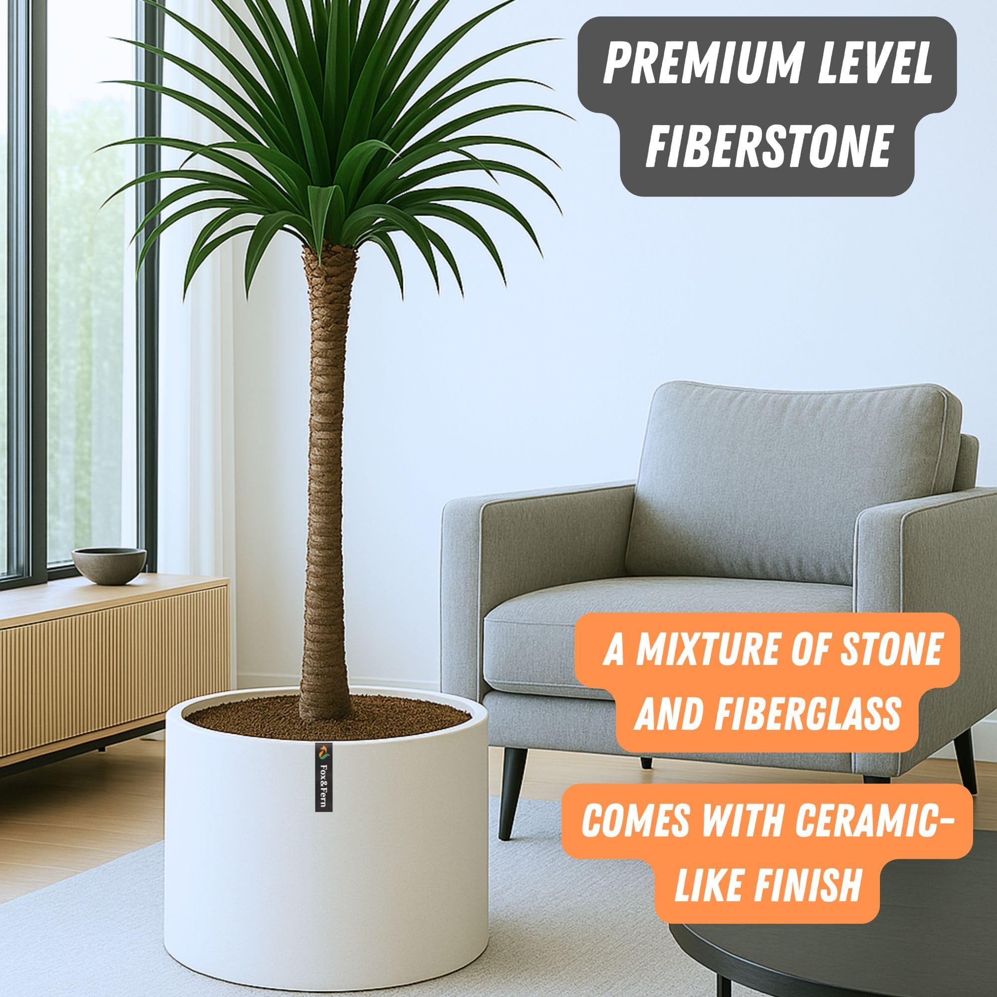 Fox & Fern planter paired with acacia stand illustrating coordinated elevated display benefit