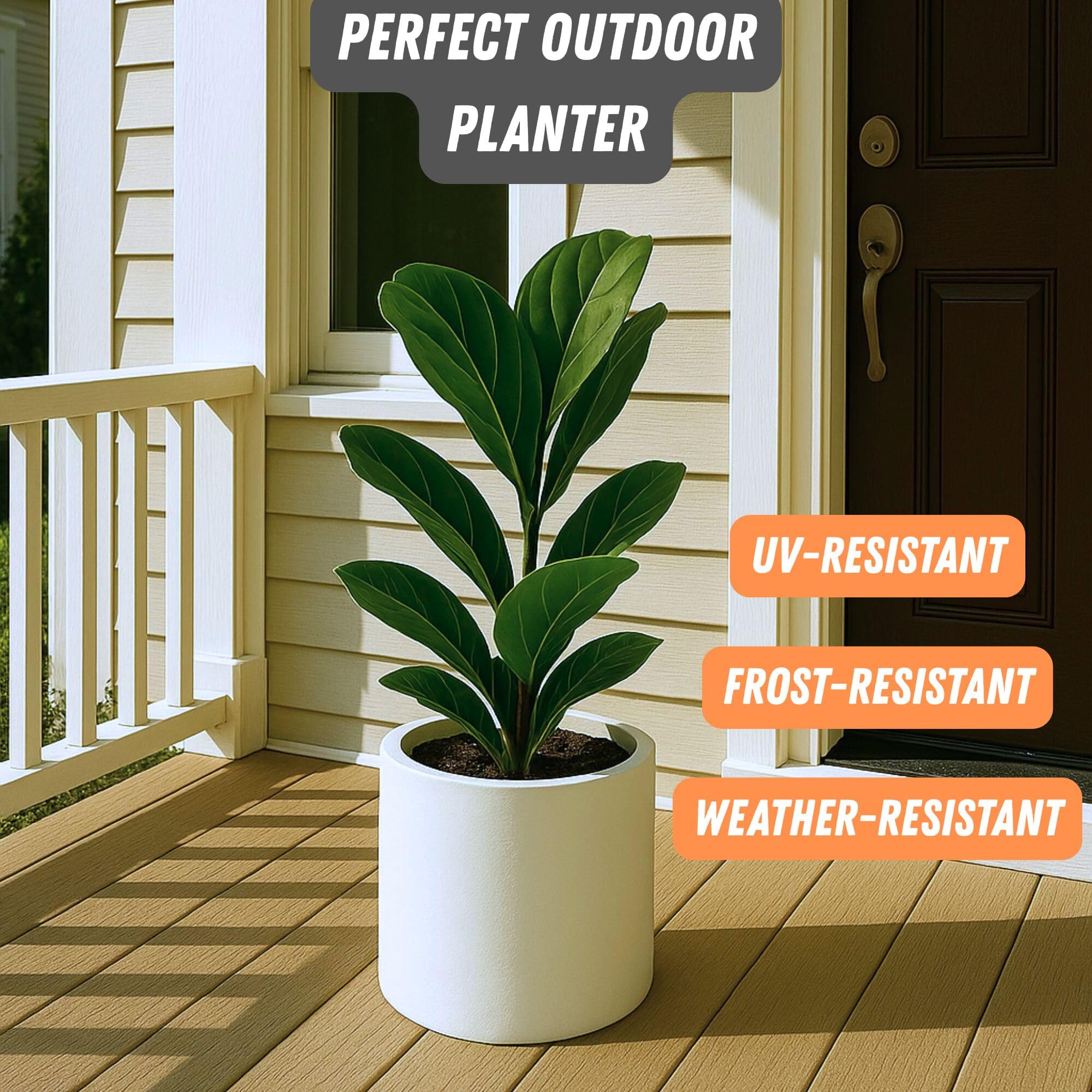 Fox & Fern planter on an Acacia stand showing coordinated modern styling
