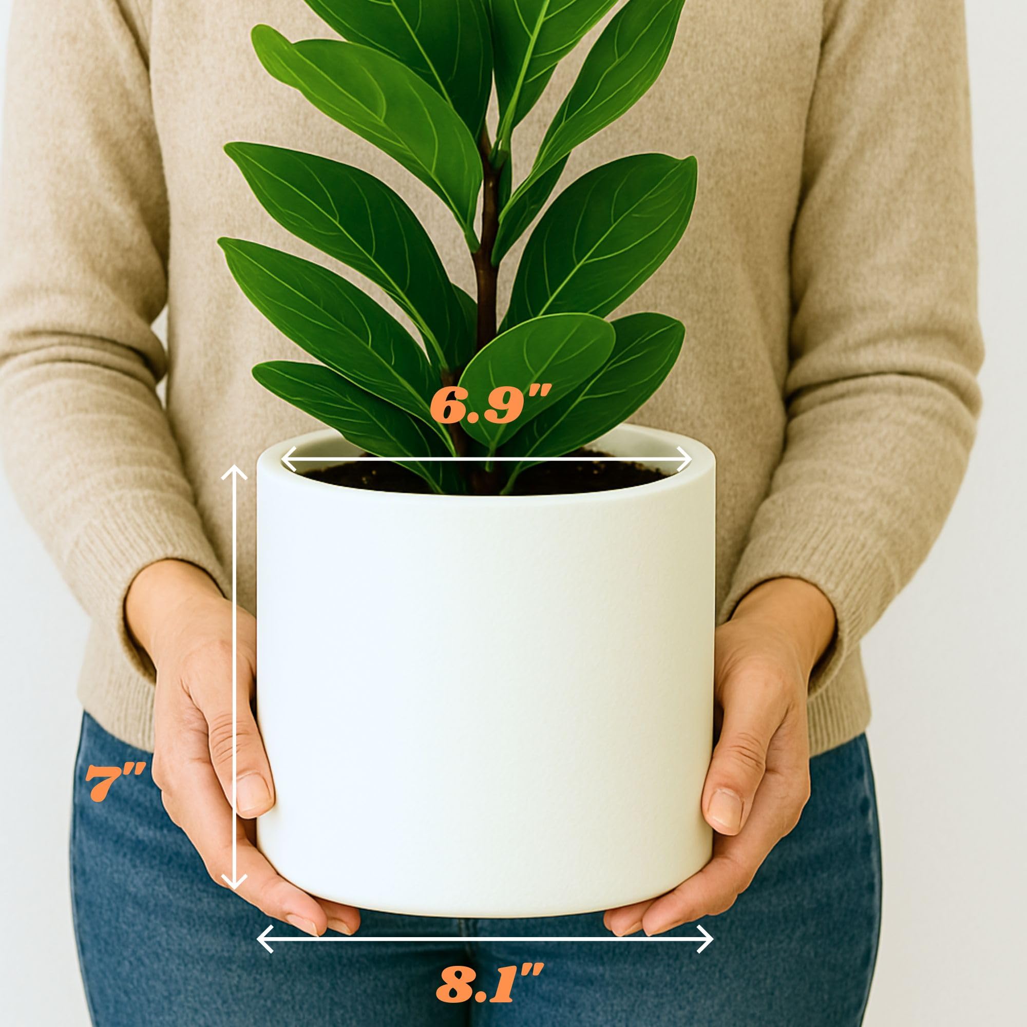 Fox & Fern planter placed on Acacia stand showing coordinated pairing and elevated display