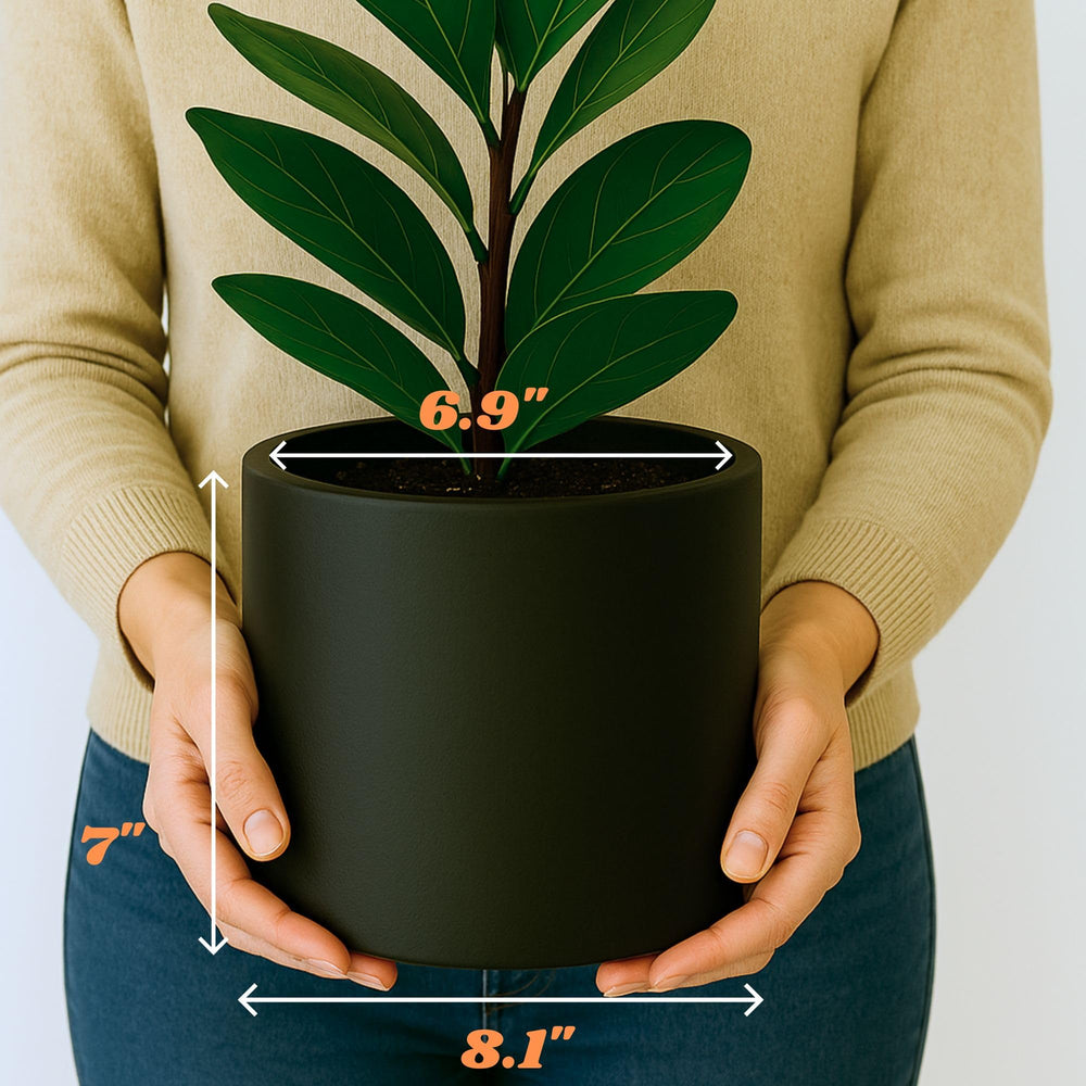 Fox & Fern planter next to watering can shows lightweight 3-pound handling benefit